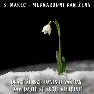 Čestitamo ob prazniku žena!