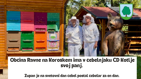 svetovni dan čebel