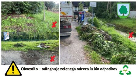 zeleni odrez