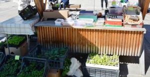 17835099_1887262214896473_7251098903548497096_o