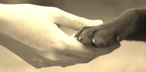 16178_347189898817437_8454279997293861493_n