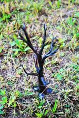 123365680_1060891301019267_32060483615273416_n