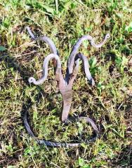 123380823_1060891267685937_8072795632604339269_n