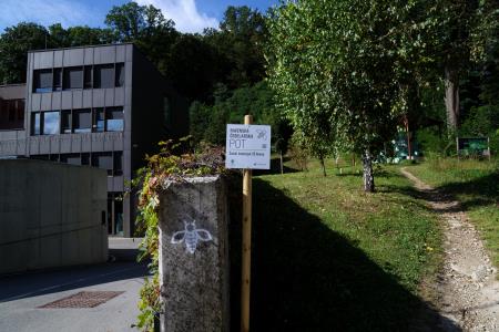 2Šolski čebelnjak SŠ Ravne