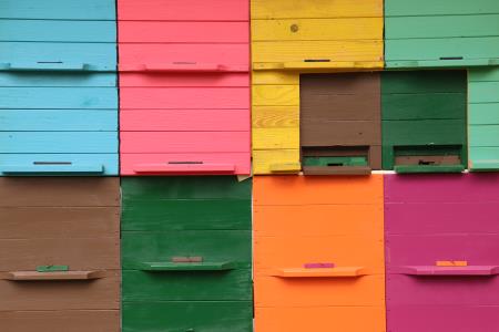 Učni čebelnjak Kotlje