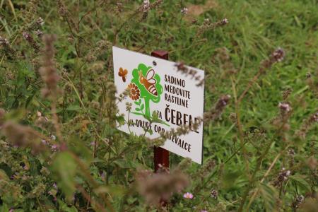 Učni čebelnjak Pigl foto Urška Paska