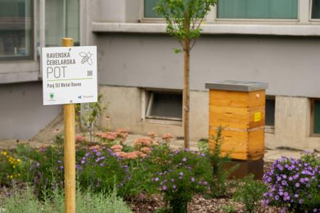 Panj SIJ Metal Ravne