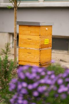 Panj SIJ Metal Ravne