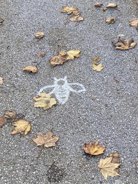 Tematska pot med čebelnjaki