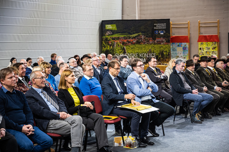 Dancˇebelarskegaturizma-425